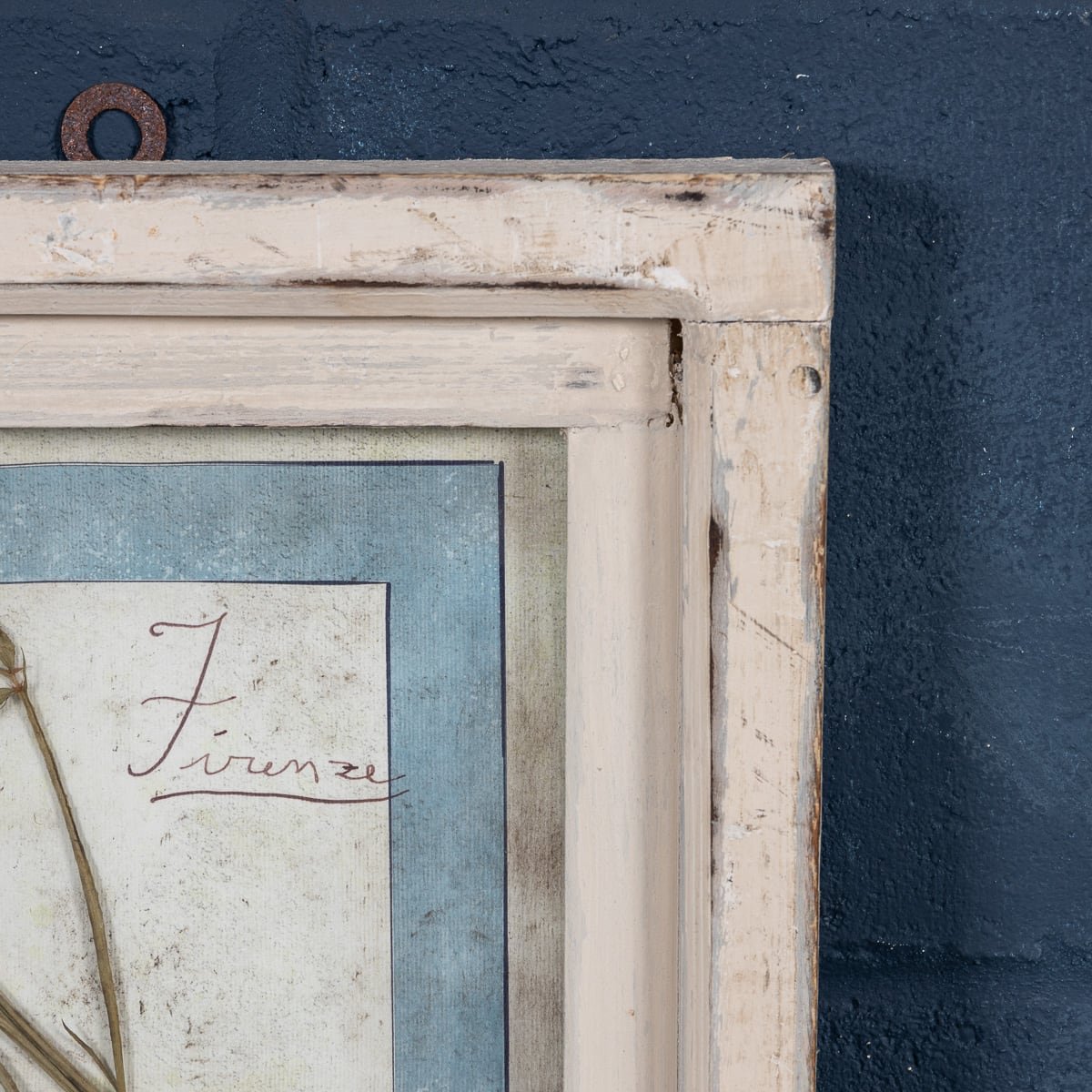 PUSHKINS.COM - 20thC ITALIAN LARGE OAK FRAME CONTAINING PRESSED FLOWERS & HERBS - 114.jpg