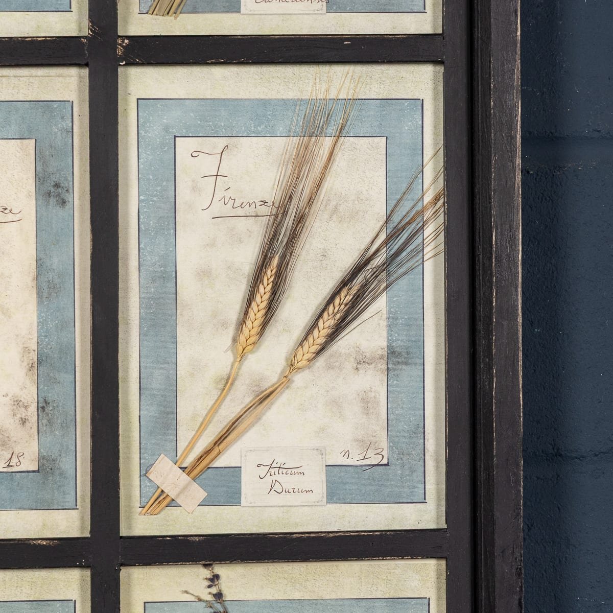 PUSHKINS.COM - B12024 - 20thC ITALIAN LARGE OAK FRAME CONTAINING PRESSED FLOWERS & HERBS - 10.jpg