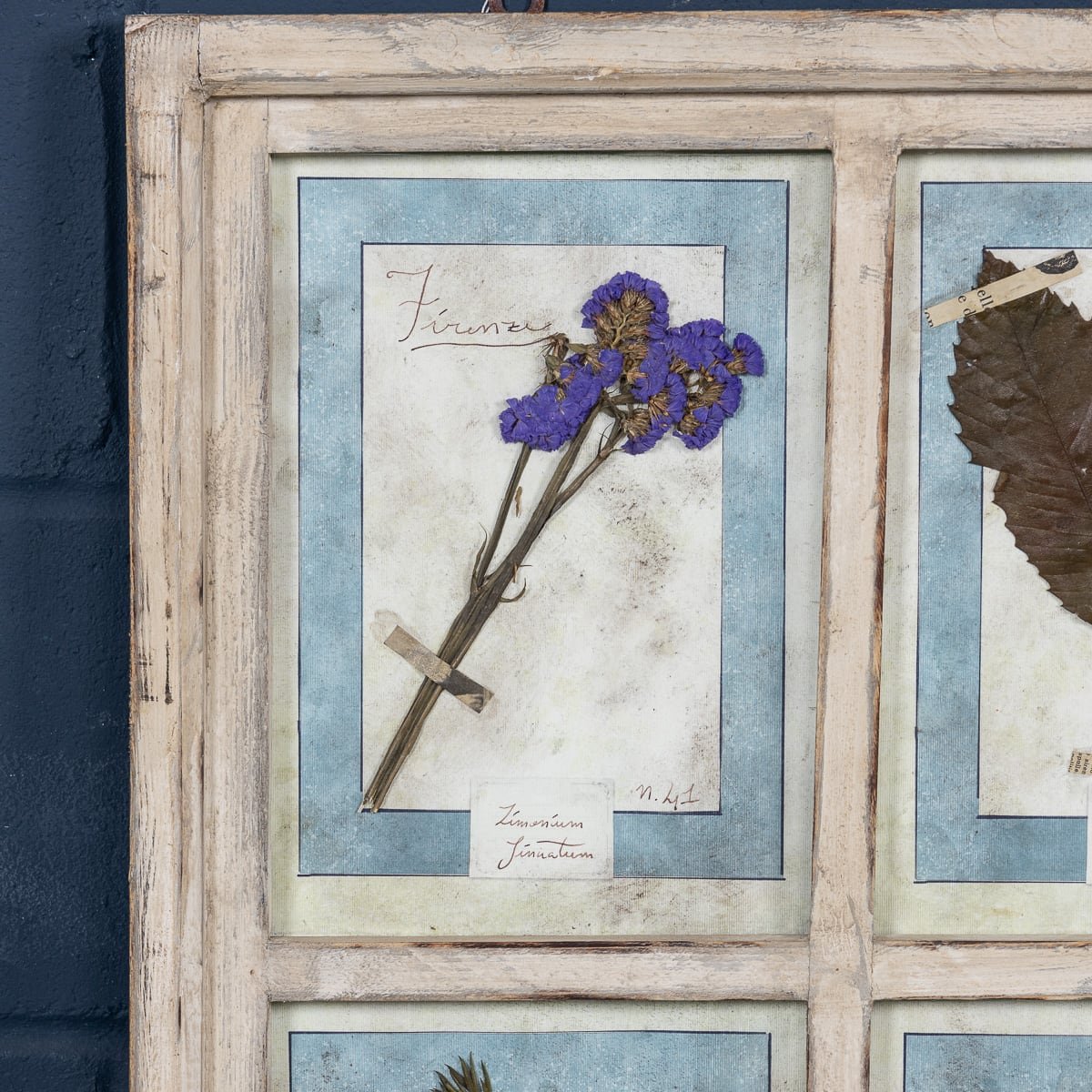 PUSHKINS.COM - 20thC ITALIAN LARGE OAK FRAME CONTAINING PRESSED FLOWERS & HERBS - 154.jpg