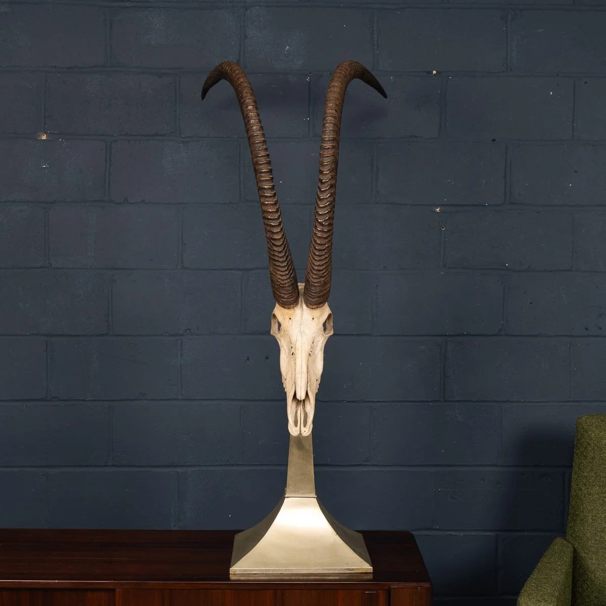 PUSHKINS.COM - B11857 - 20thC TAXIDERMY STUDY OF AN AFRICAN IBEX, BY ANTHONY REDMILE, LONDON c.1970 - 08.jpg