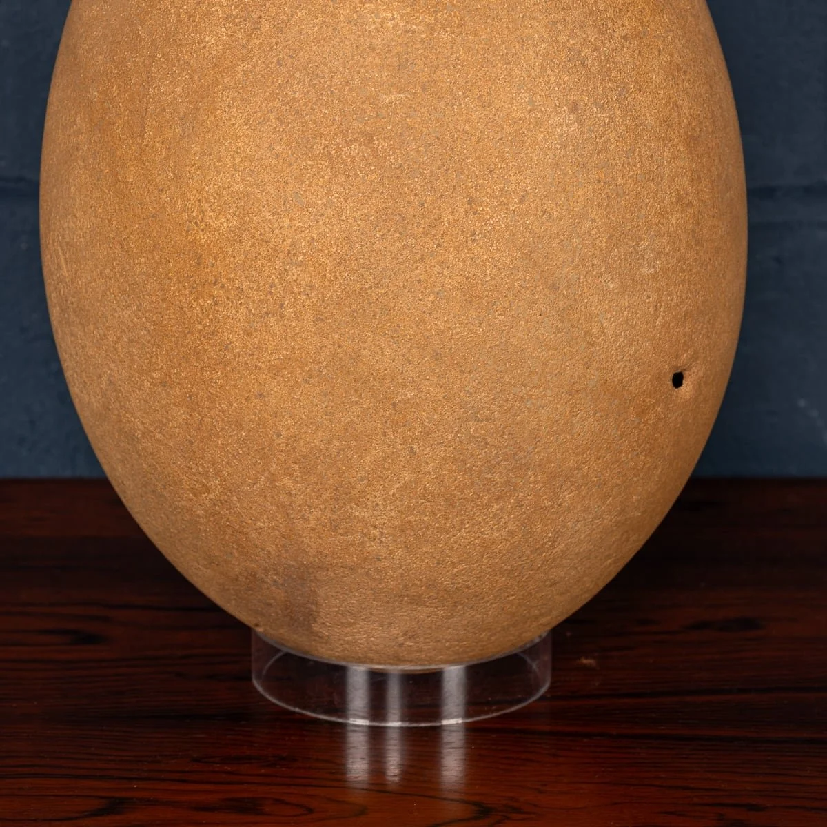 PUSHKINS.COM - ANTIQUE PRE-17thC EXTREMELY RARE & COMPLETE ELEPHANT BIRD EGG, MADAGASCAR - 31.jpg