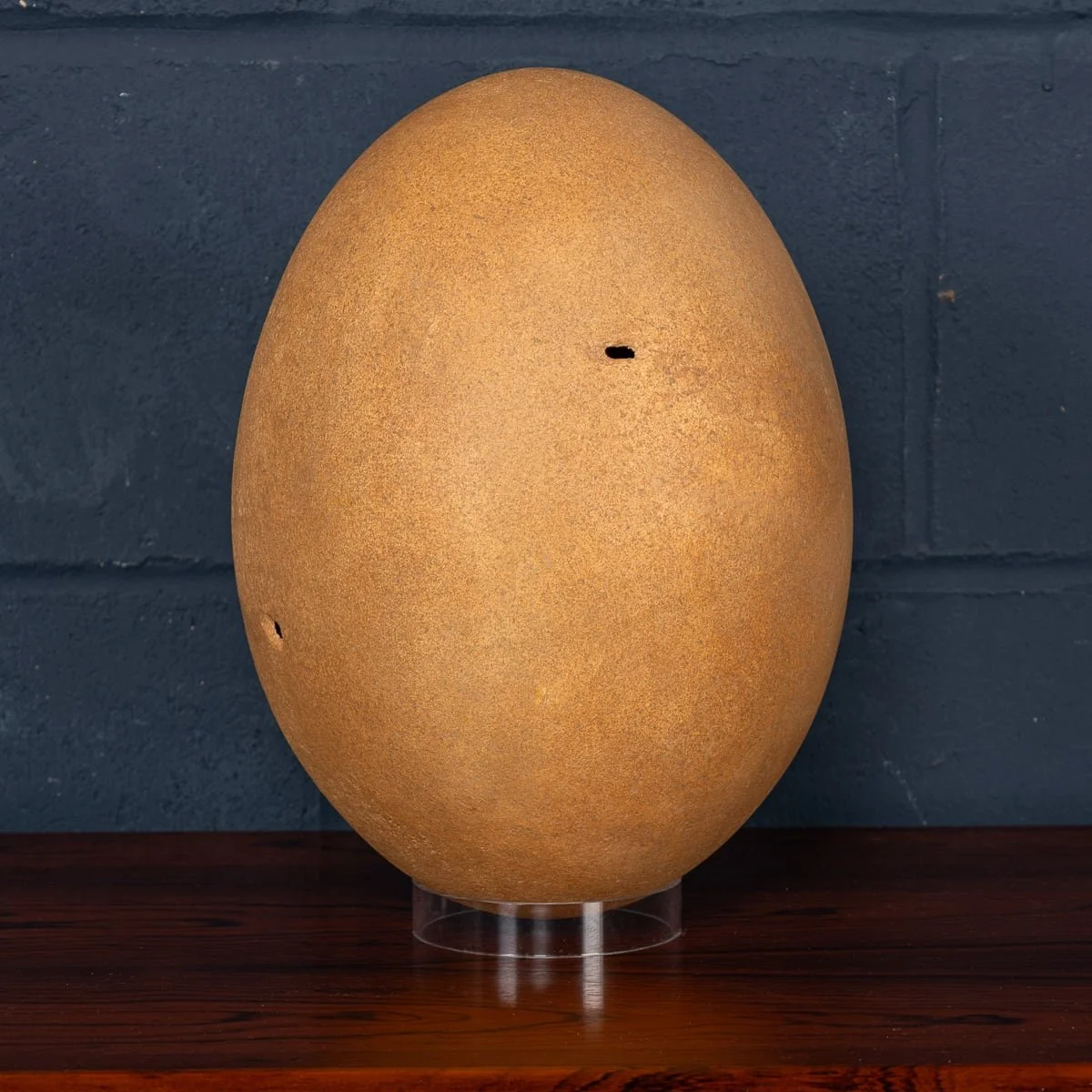 PUSHKINS.COM - ANTIQUE PRE-17thC EXTREMELY RARE & COMPLETE ELEPHANT BIRD EGG, MADAGASCAR - 3.jpg