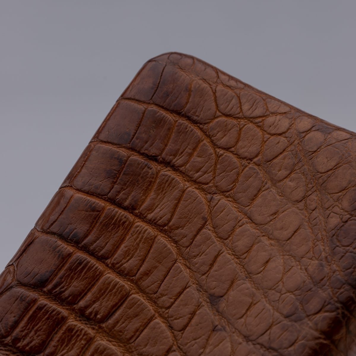 PUSHKINS.COM - ANTIQUE 19thC VICTORIAN SOLID SILVER CROCODILE LEATHER CIGAR CASE, ASPREY c.1878 - 1207.jpg