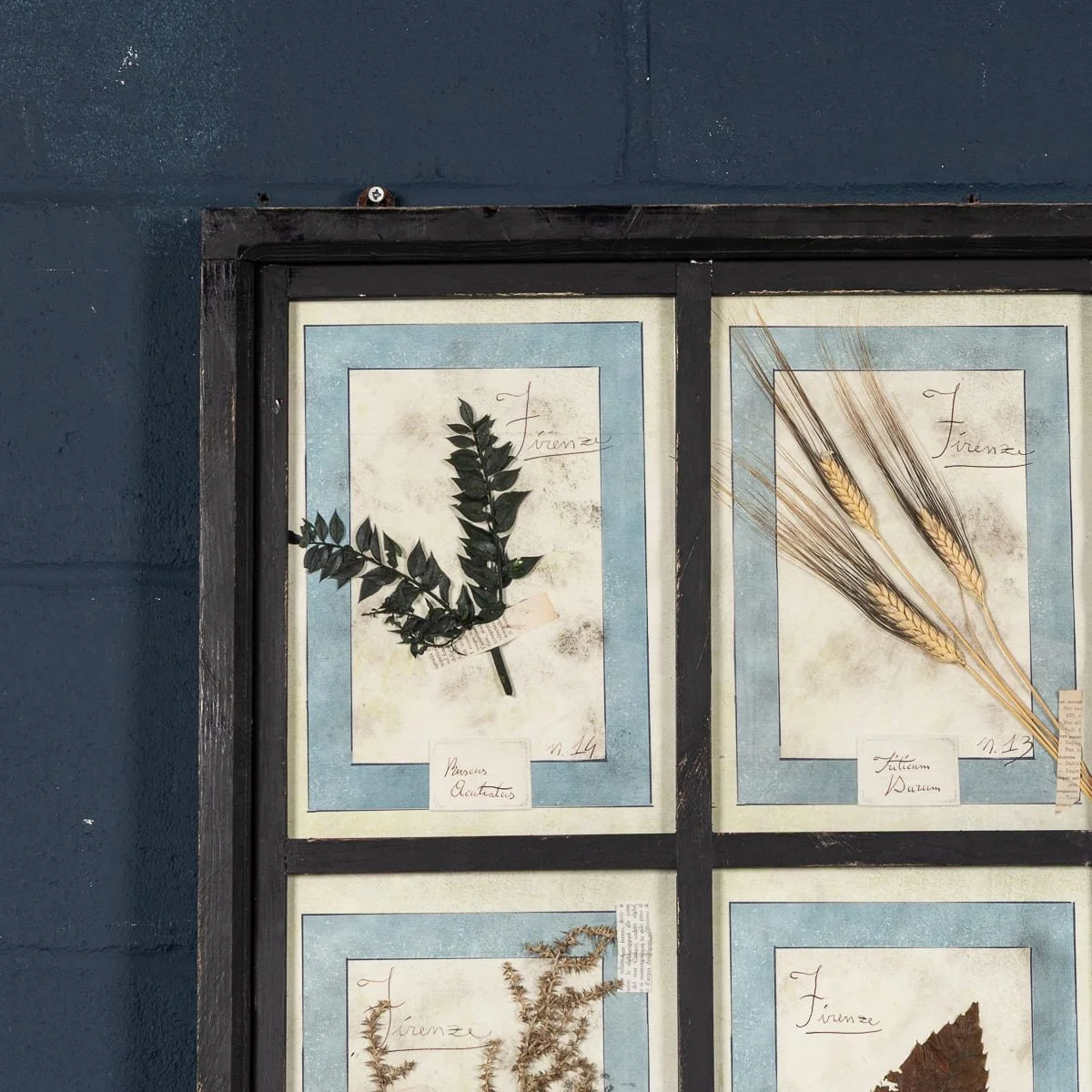 PUSHKINS.COM - B12027 - 20thC ITALIAN LARGE OAK FRAME CONTAINING PRESSED FLOWERS & HERBS - 07.jpg