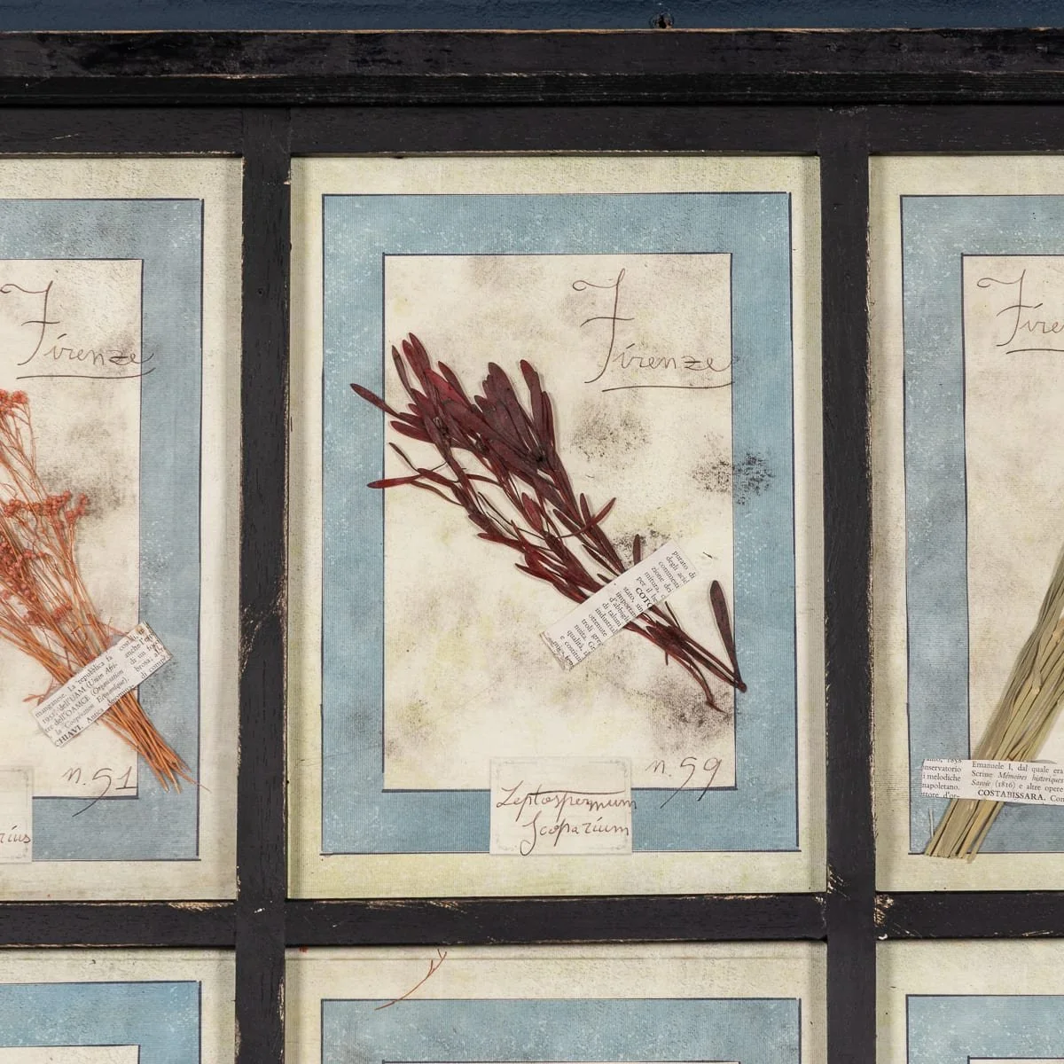 PUSHKINS.COM - B12024 - 20thC ITALIAN LARGE OAK FRAME CONTAINING PRESSED FLOWERS & HERBS - 08.jpg