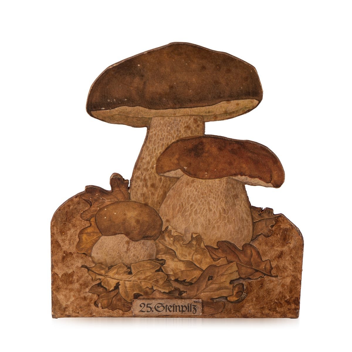 PUSHKINS.COM - D11879 - ANTIQUE 20thC ENGLISH SET OF EIGHT MUSHROOM MODELS FOR BOTANICAL STUDY c.1900 - 04.jpg