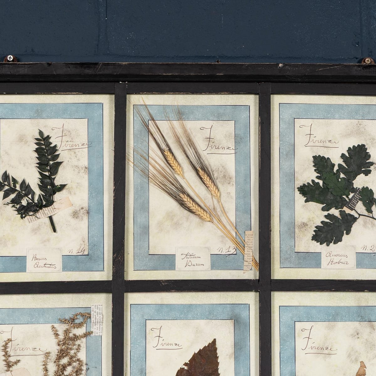 PUSHKINS.COM - B12027 - 20thC ITALIAN LARGE OAK FRAME CONTAINING PRESSED FLOWERS & HERBS - 08.jpg