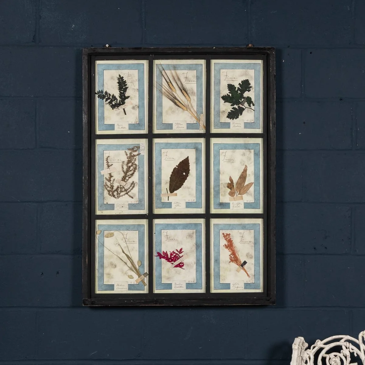 PUSHKINS.COM - B12027 - 20thC ITALIAN LARGE OAK FRAME CONTAINING PRESSED FLOWERS & HERBS - 03.jpg