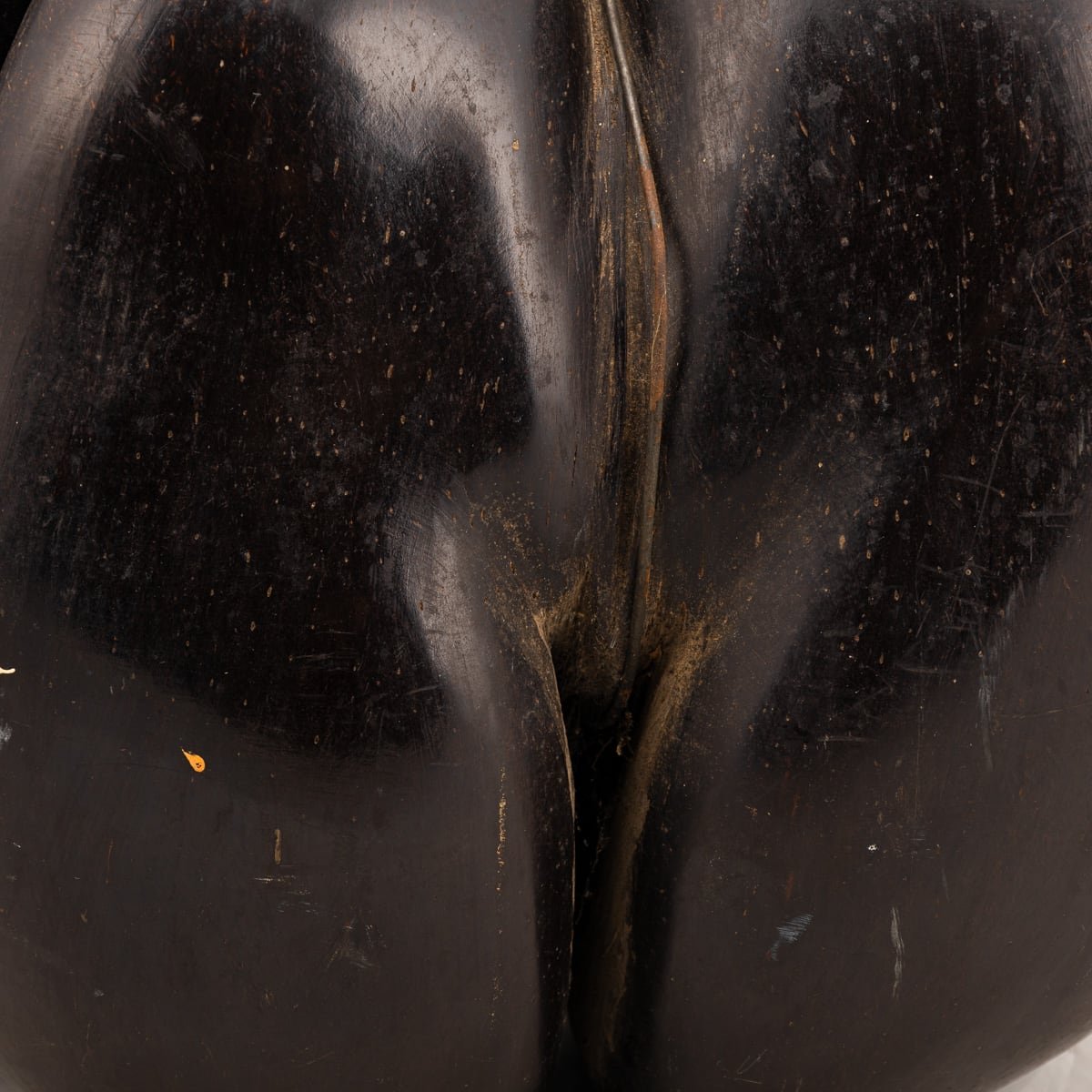 PUSHKIN'S - ANTIQUE 20thC EXTREMELY RARE POLISHED TRIPLE COCO DE MER NUT, SEYCHELLES c.1900 - 12.jpg