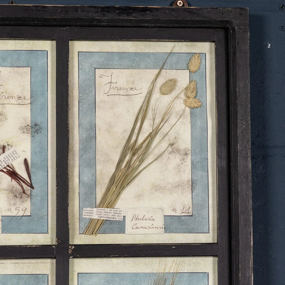 PUSHKINS.COM - B12024 - 20thC ITALIAN LARGE OAK FRAME CONTAINING PRESSED FLOWERS & HERBS - 09.jpg