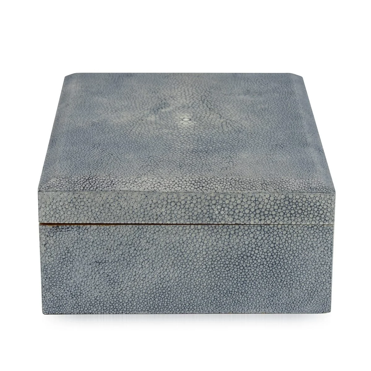 PUSHKINS.COM - J12207 - VINTAGE 20thC BLUE SHAGREEN CIGAR HUMIDOR c.1930 - 05.jpg
