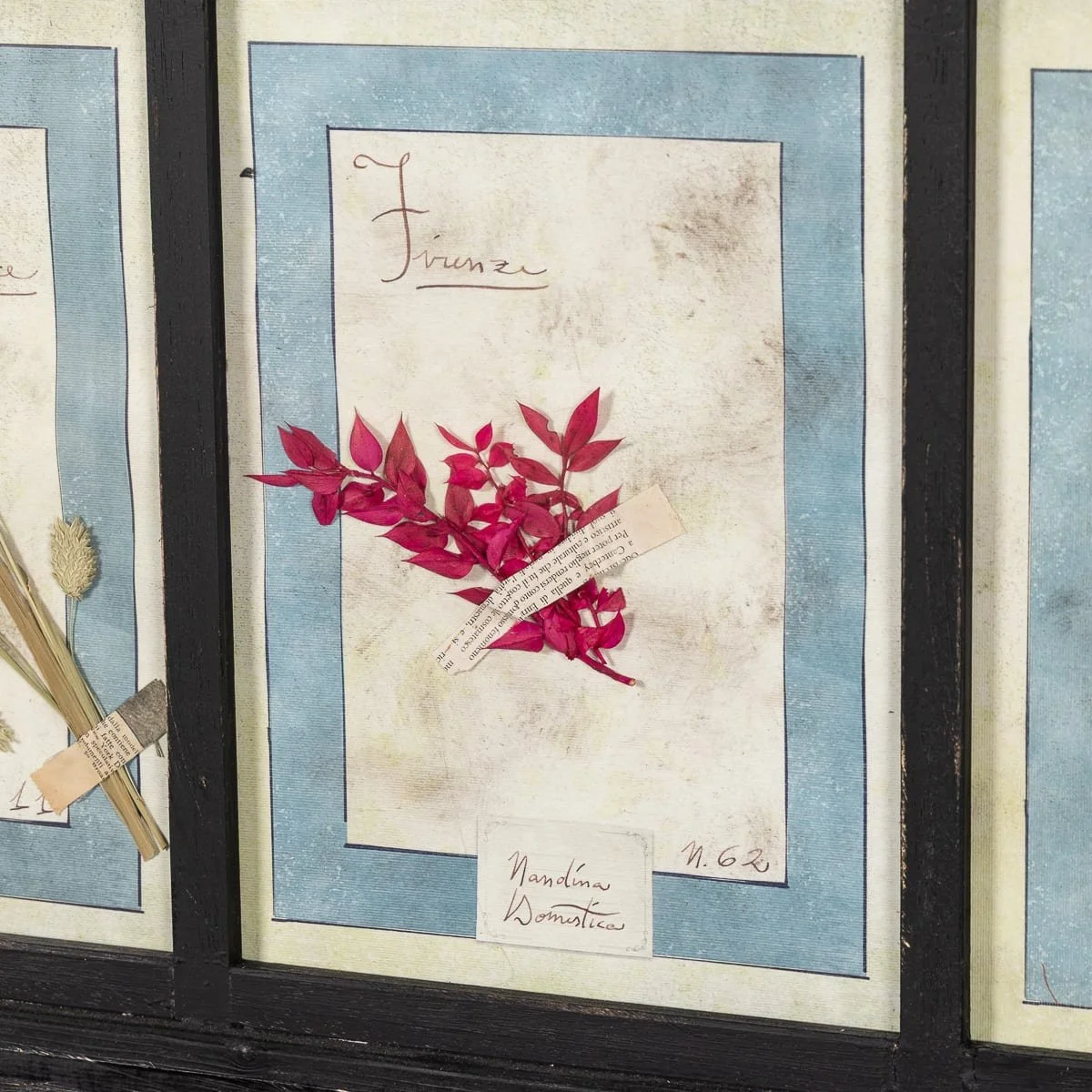 PUSHKINS.COM - B12027 - 20thC ITALIAN LARGE OAK FRAME CONTAINING PRESSED FLOWERS & HERBS - 17.jpg