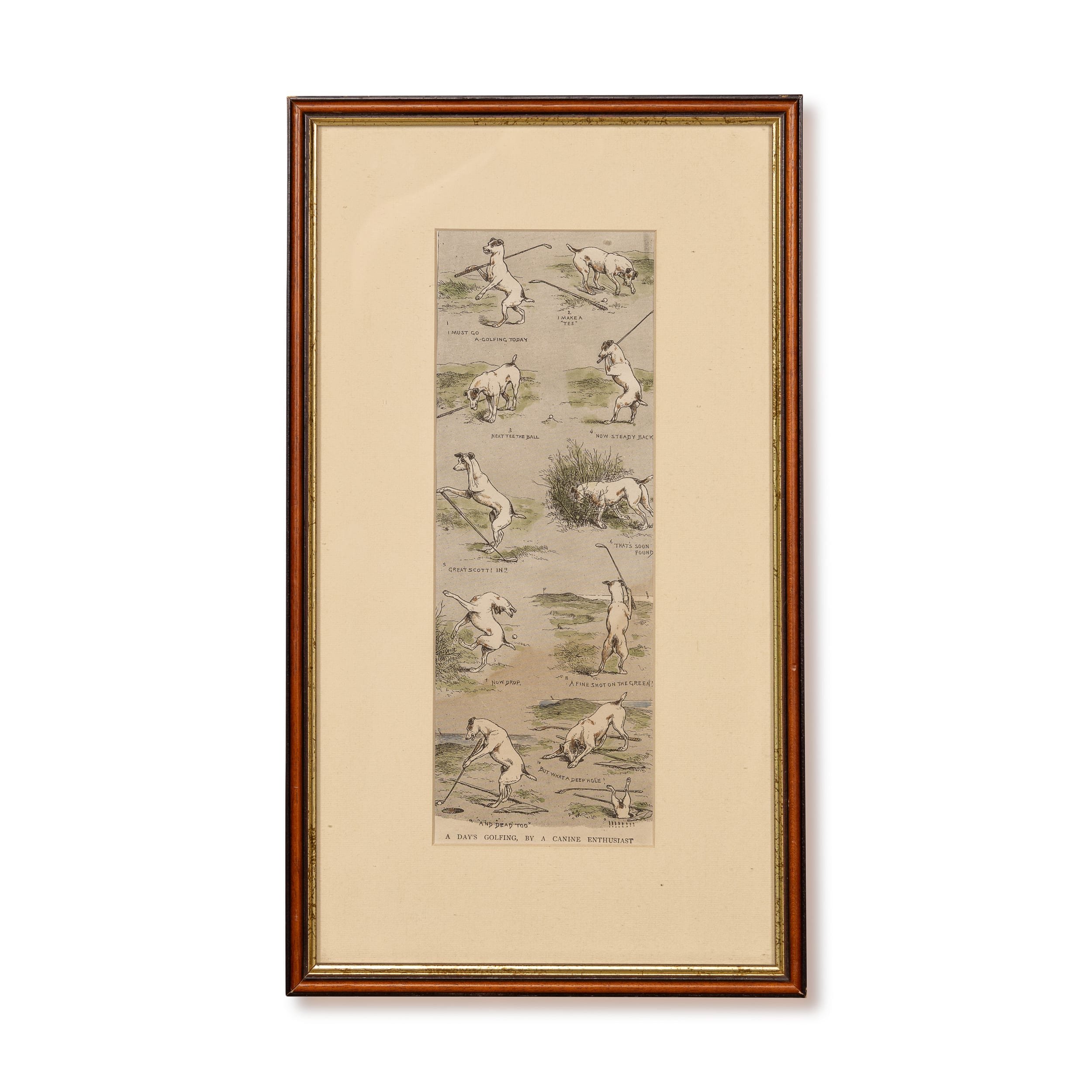 PUSHKINS.COM - Z12400 - VINTAGE 20thC FRAMED PRINT OF GOLF PLAYING TERRIER DOGS c.1950 - 01.jpg