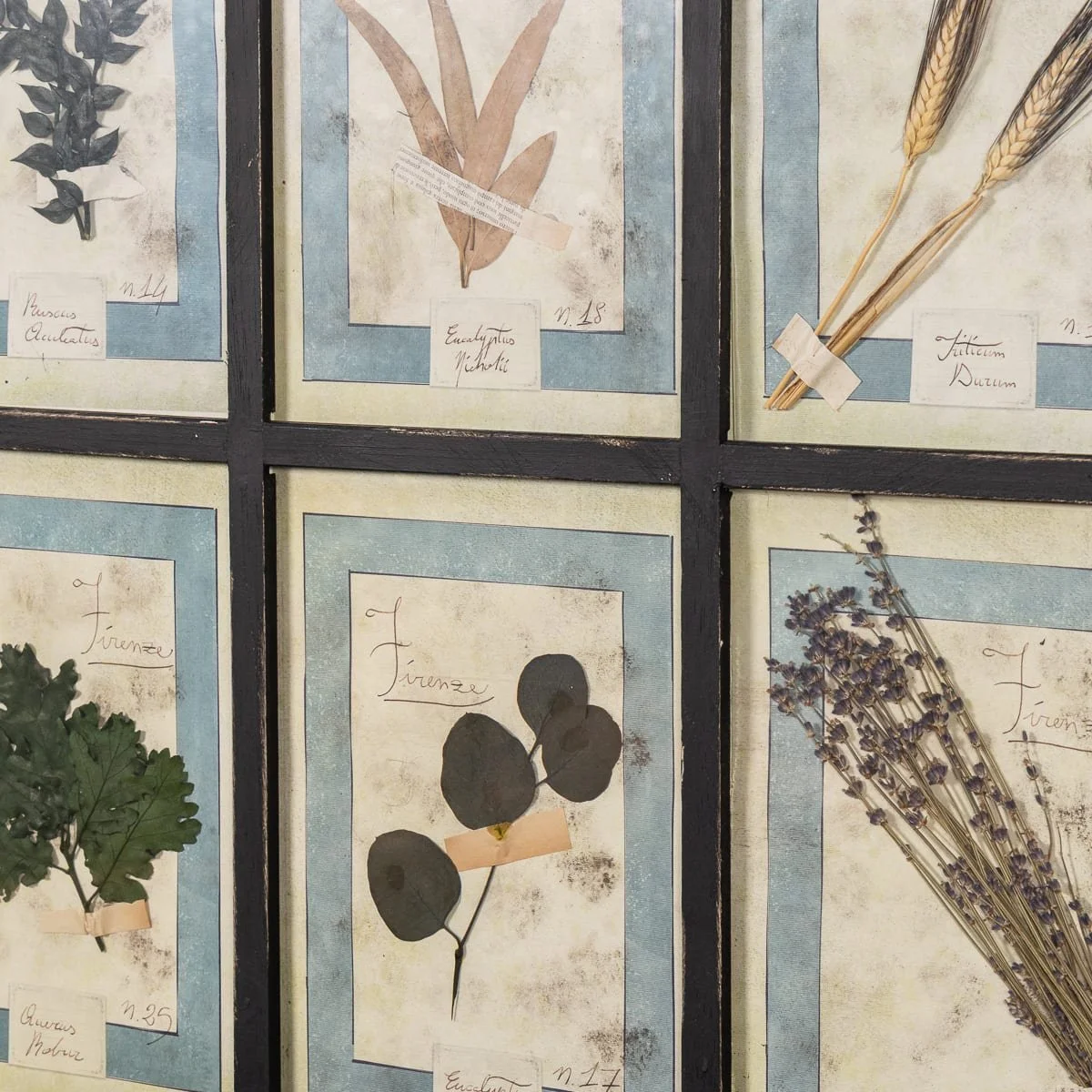 PUSHKINS.COM - B12024 - 20thC ITALIAN LARGE OAK FRAME CONTAINING PRESSED FLOWERS & HERBS - 16.jpg