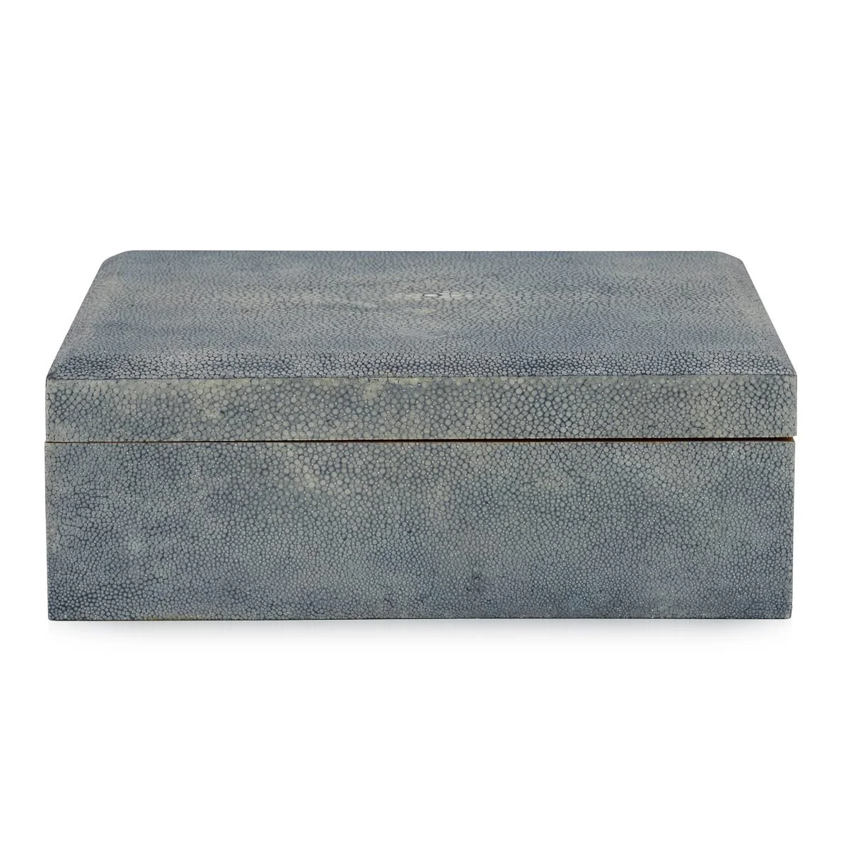 PUSHKINS.COM - J12207 - VINTAGE 20thC BLUE SHAGREEN CIGAR HUMIDOR c.1930 - 04.jpg