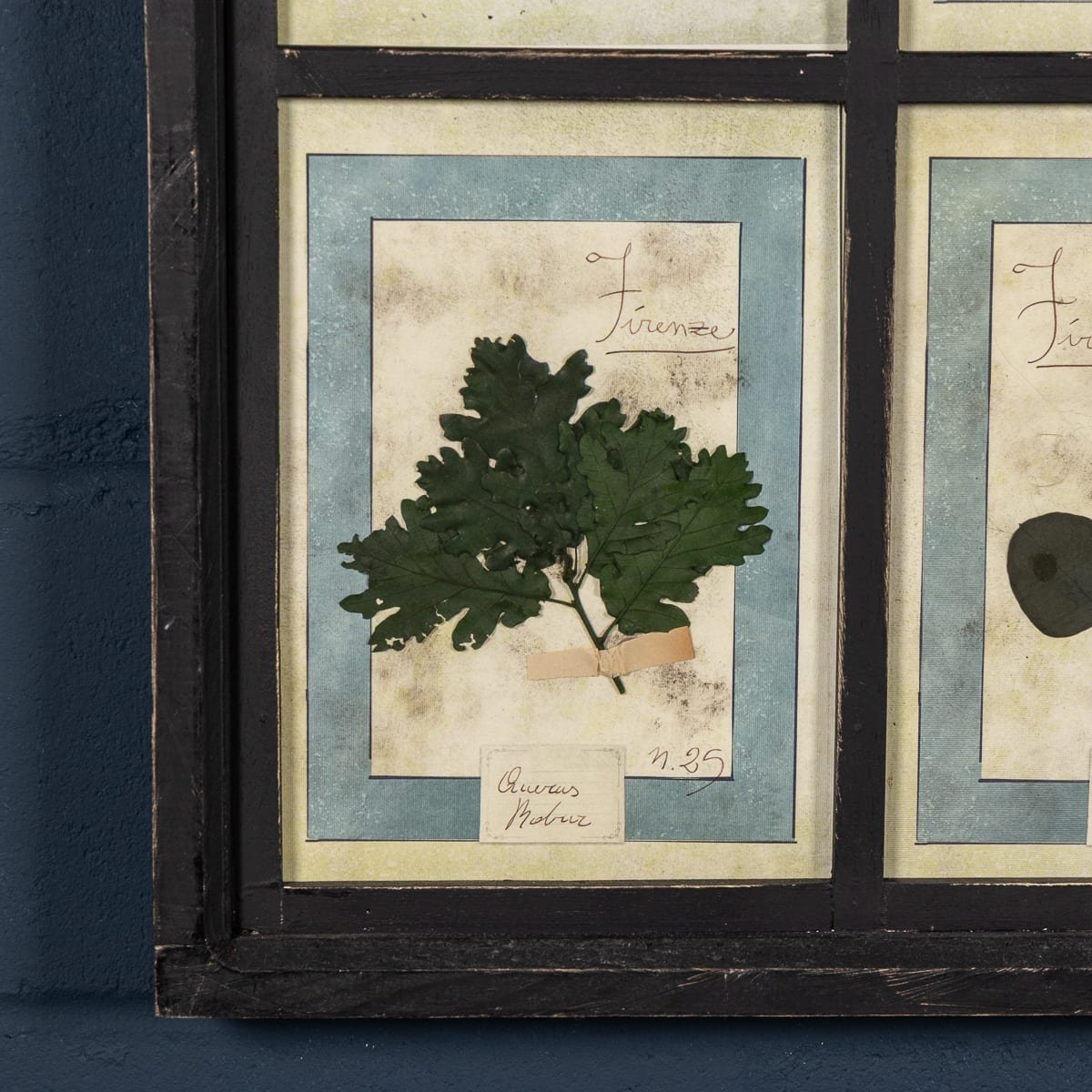 PUSHKINS.COM - B12024 - 20thC ITALIAN LARGE OAK FRAME CONTAINING PRESSED FLOWERS & HERBS - 13.jpg