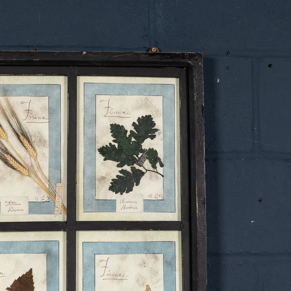 PUSHKINS.COM - B12027 - 20thC ITALIAN LARGE OAK FRAME CONTAINING PRESSED FLOWERS & HERBS - 09.jpg