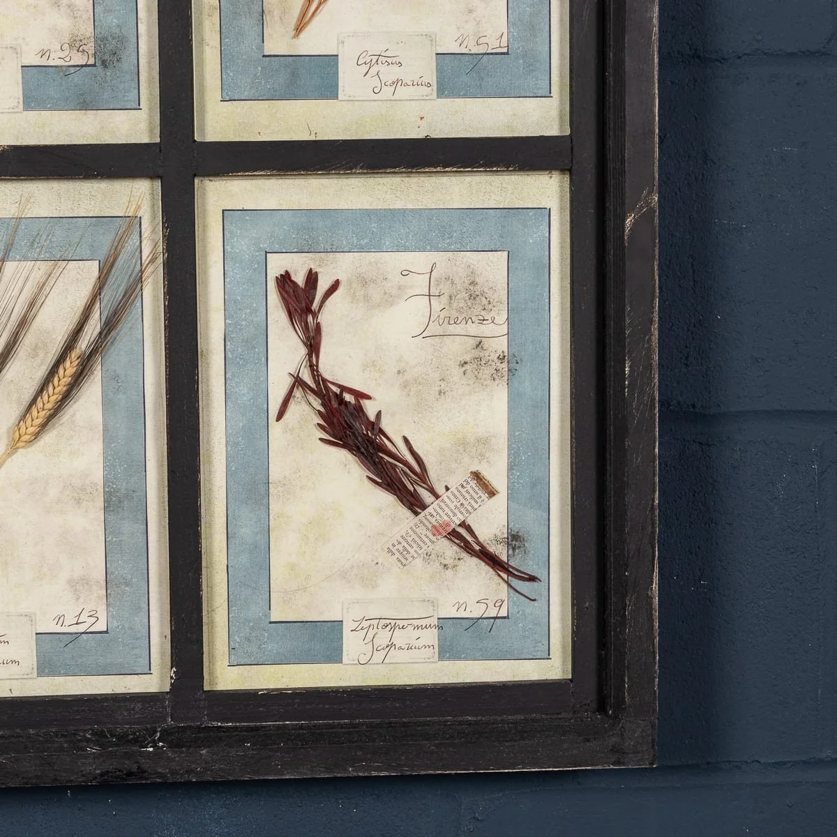 PUSHKINS.COM - B12026 - 20thC ITALIAN LARGE OAK FRAME CONTAINING PRESSED FLOWERS & HERBS - 12.jpg