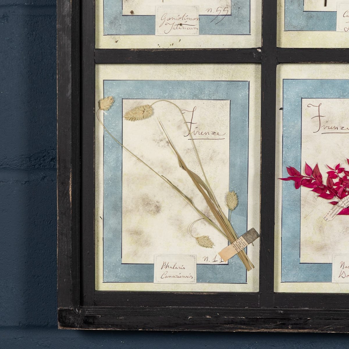 PUSHKINS.COM - B12027 - 20thC ITALIAN LARGE OAK FRAME CONTAINING PRESSED FLOWERS & HERBS - 13.jpg