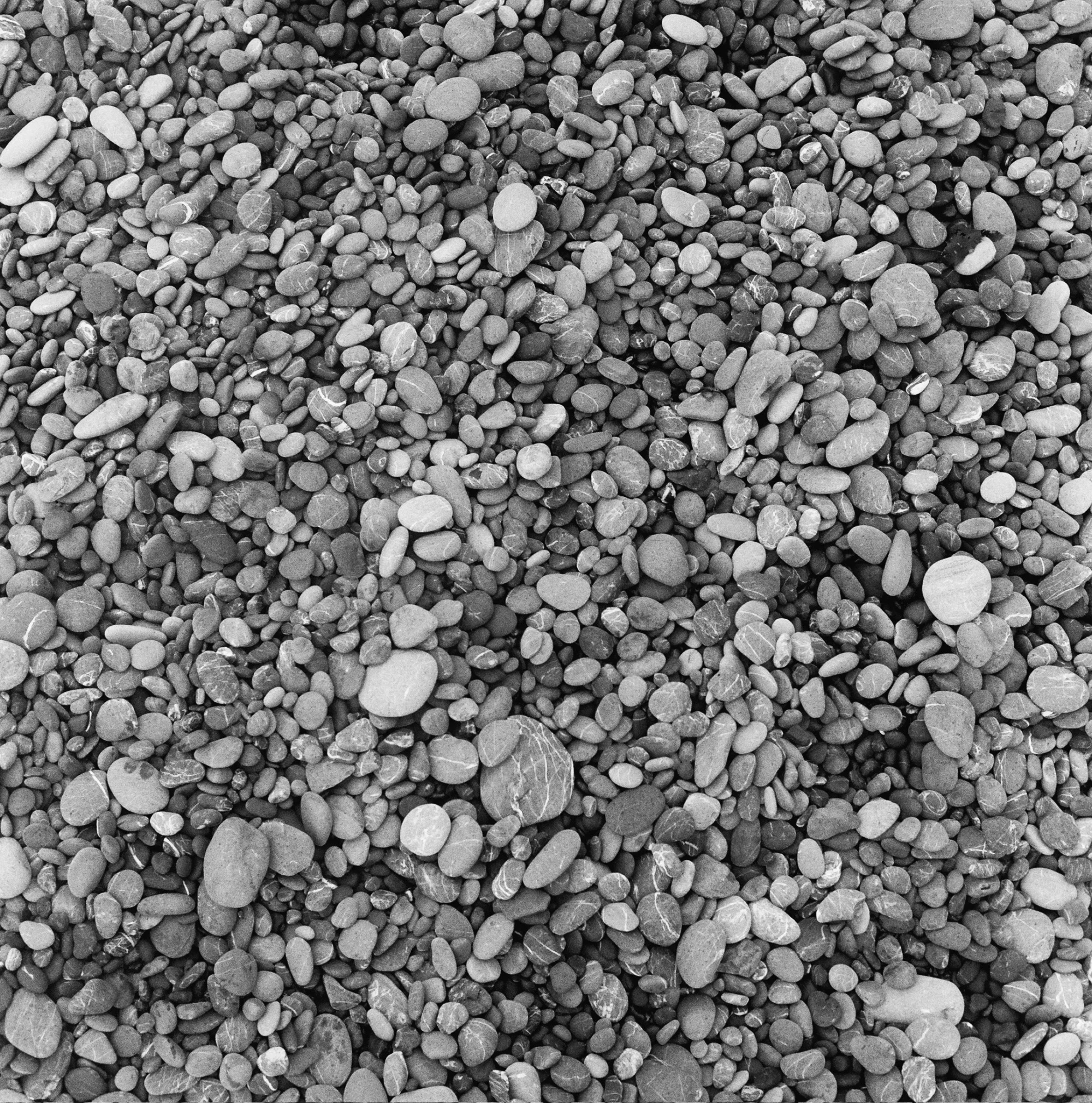  Processed with VSCOcam with b5 preset 