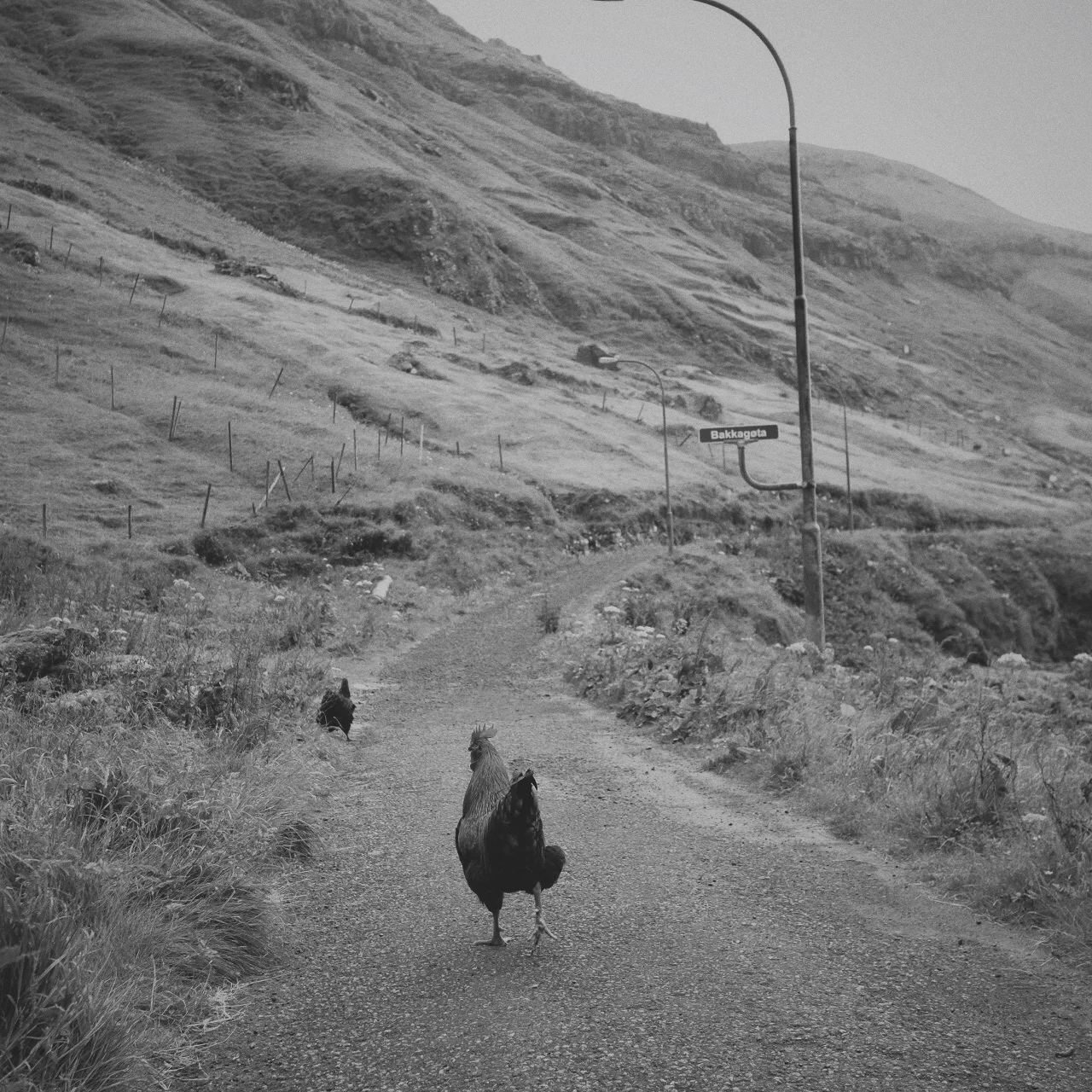  Processed with VSCOcam with b5 preset Processed with VSCOcam with b5 preset 