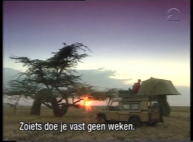 My back yard  The Serengetti