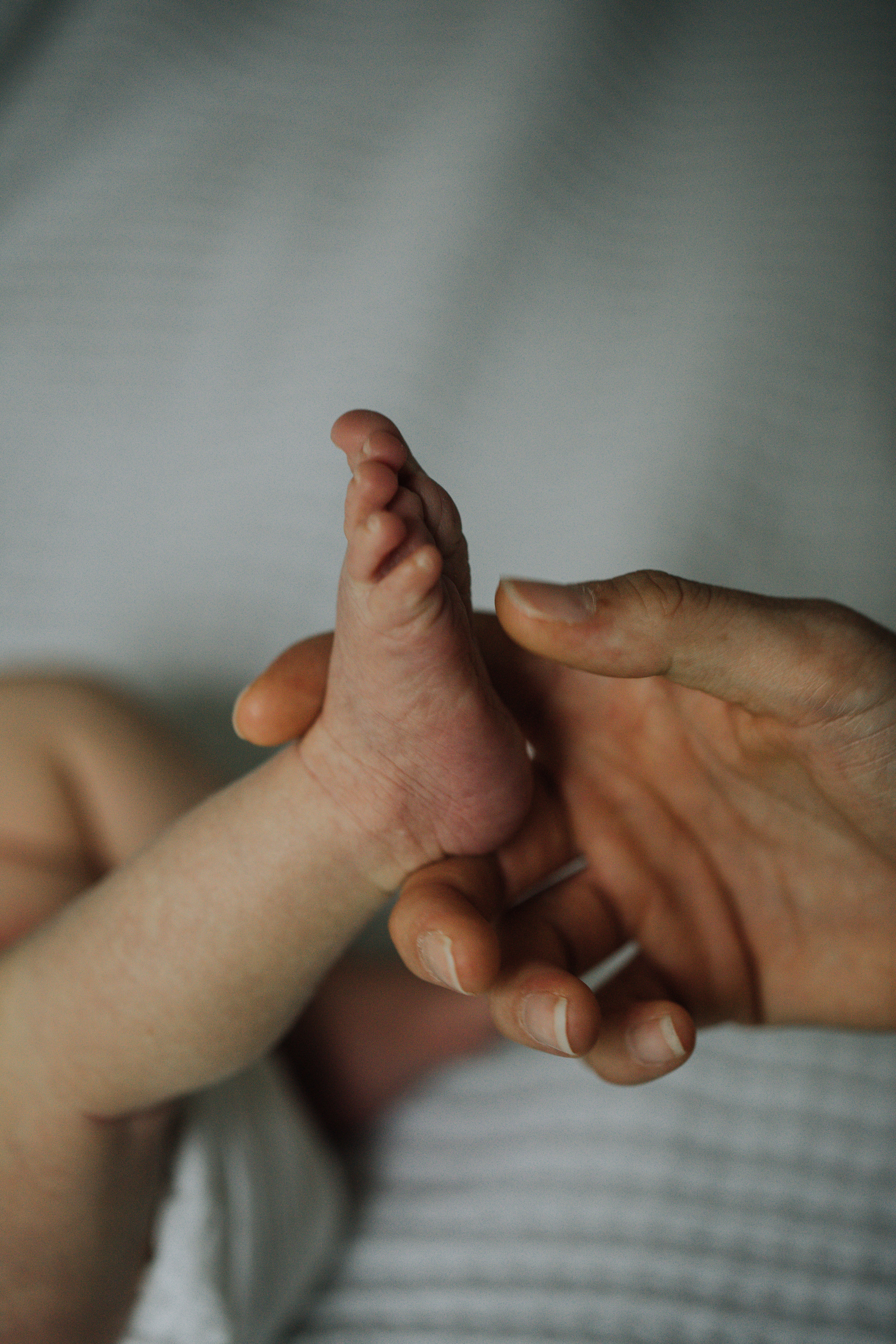 Family portrait of new born baby surrounded by family in Maryland.