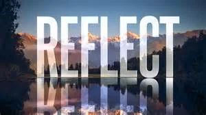 Reflections from the Senior Health Class