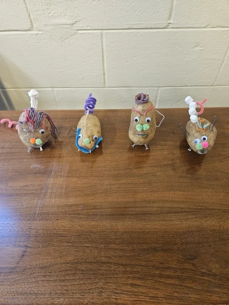 From Alleles to Adorable: "Spudoodle" Creation Day