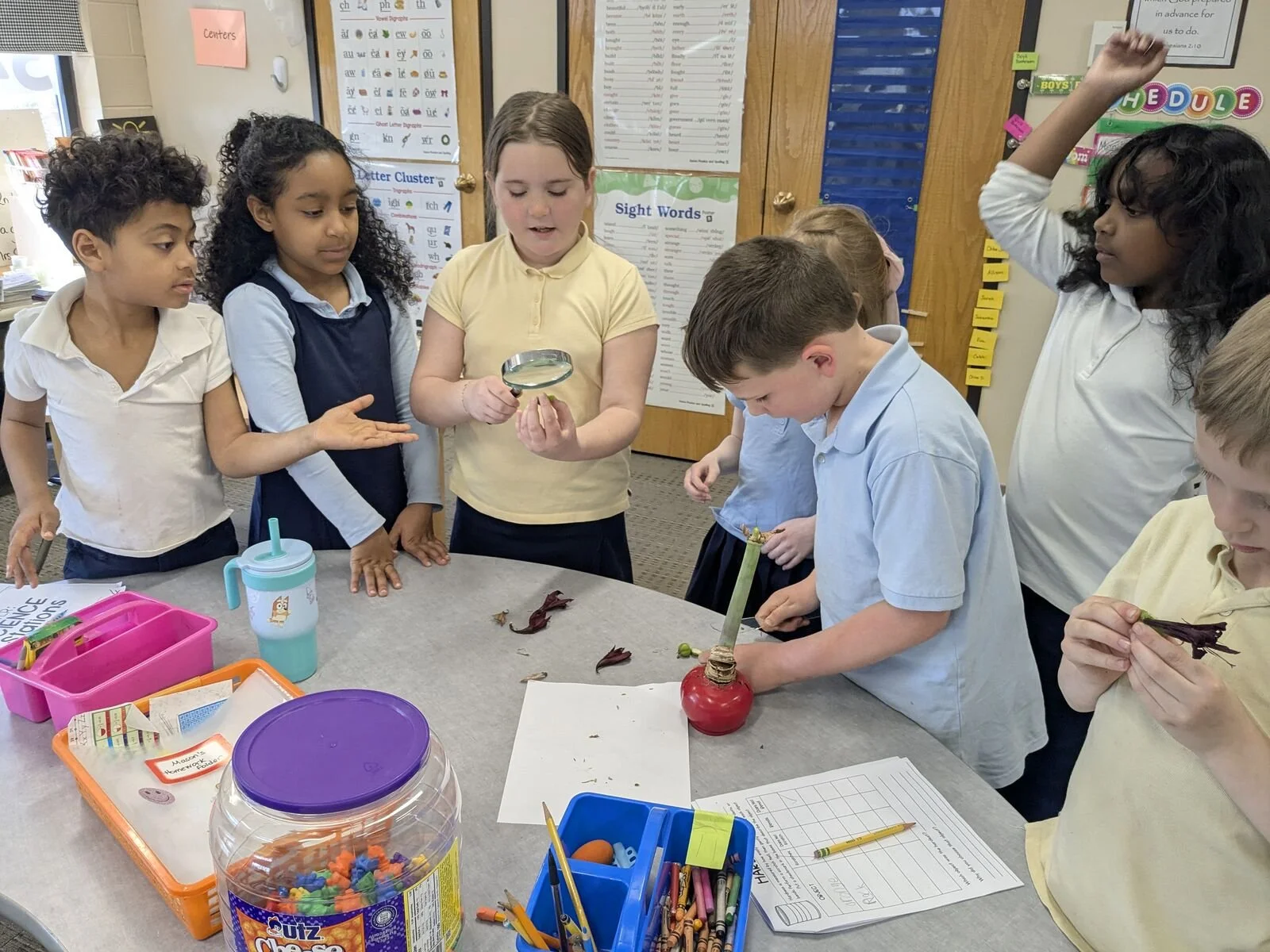 🧪🔍Science stations gave students a hands-on way to explore and bring our learning to life!
Students investigated properties of matter like hardness, flexibility, and absorbency, and identified different states of matter. They also made thoughtful d