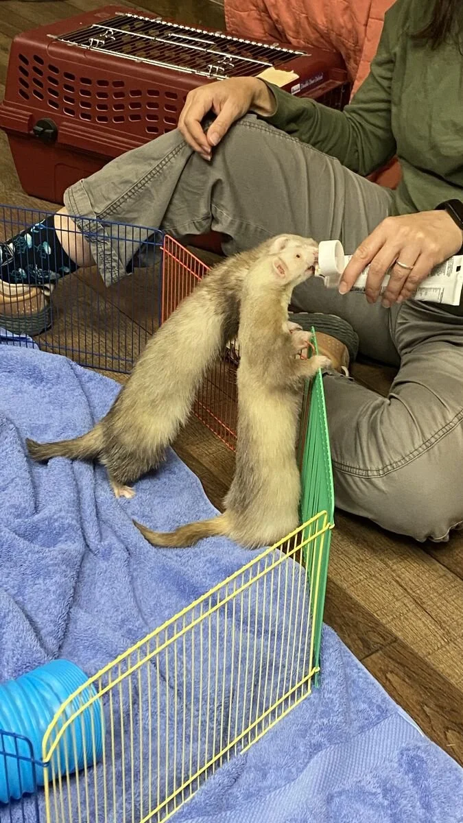 hungerford field trip9.jpg