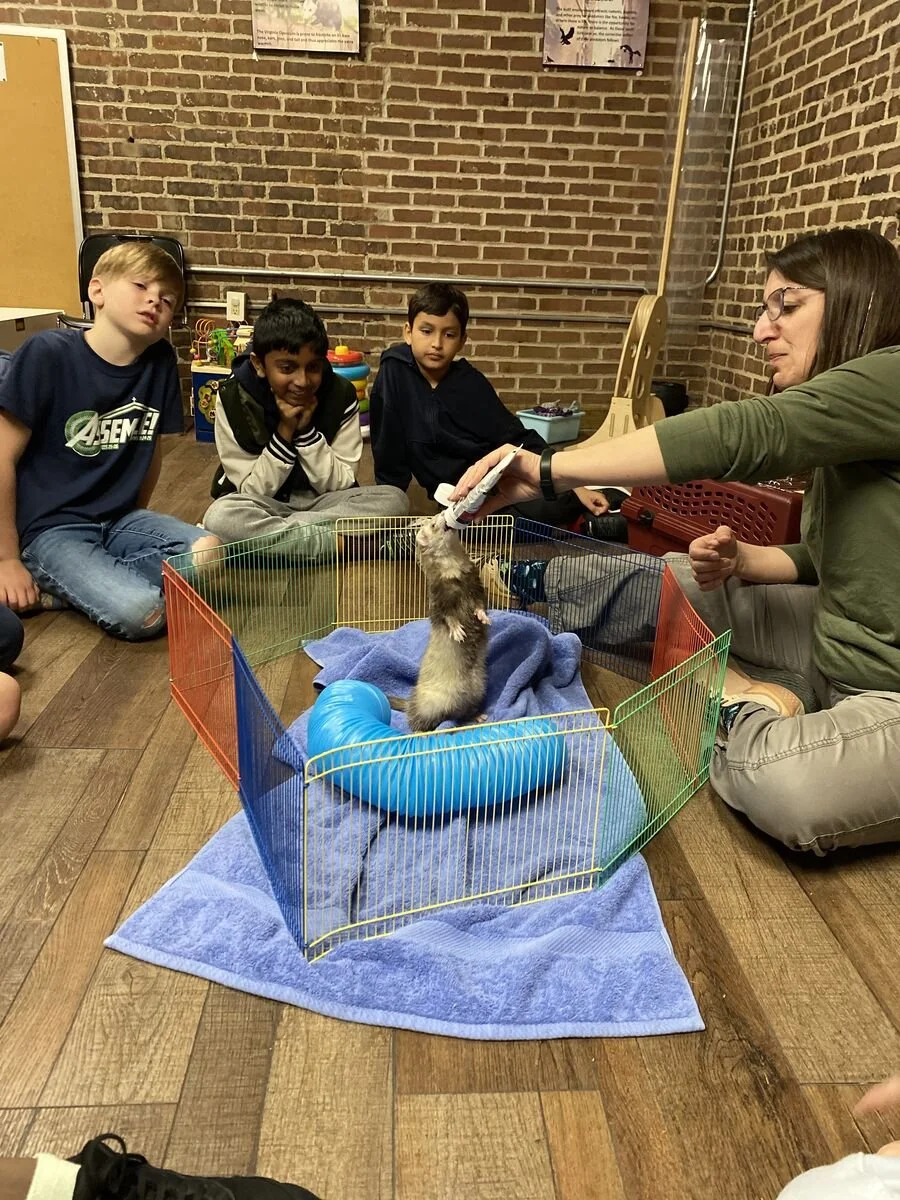 hungerford field trip8.jpg