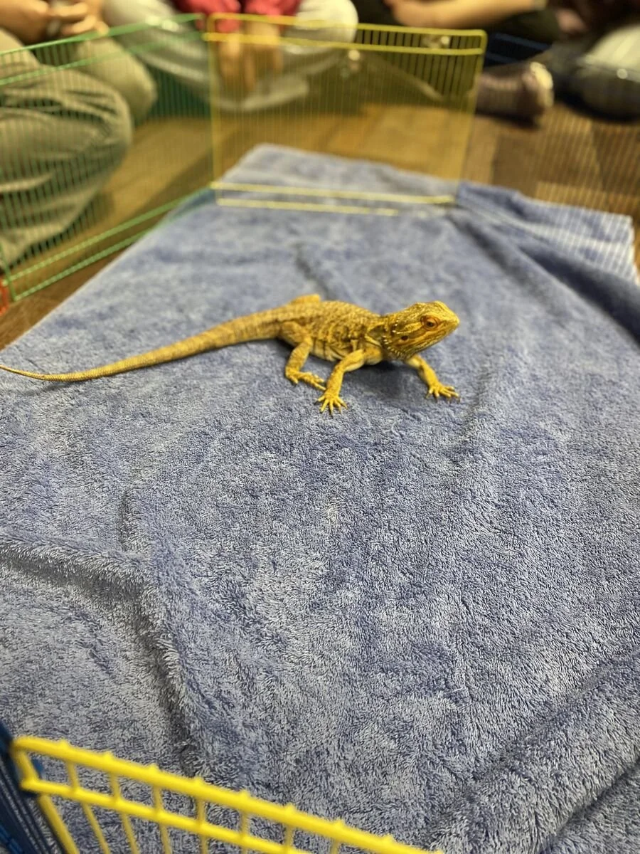 hungerford field trip3.jpg