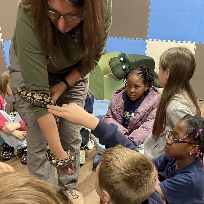🐢 Grade 3 had a wonderful trip to the Hungerford Nature Center on Friday! The weather was perfect, and their guide, Miss Emily, made the day extra special as she introduced them to some amazing animals.

🌲 Students got to see animal adaptations up 