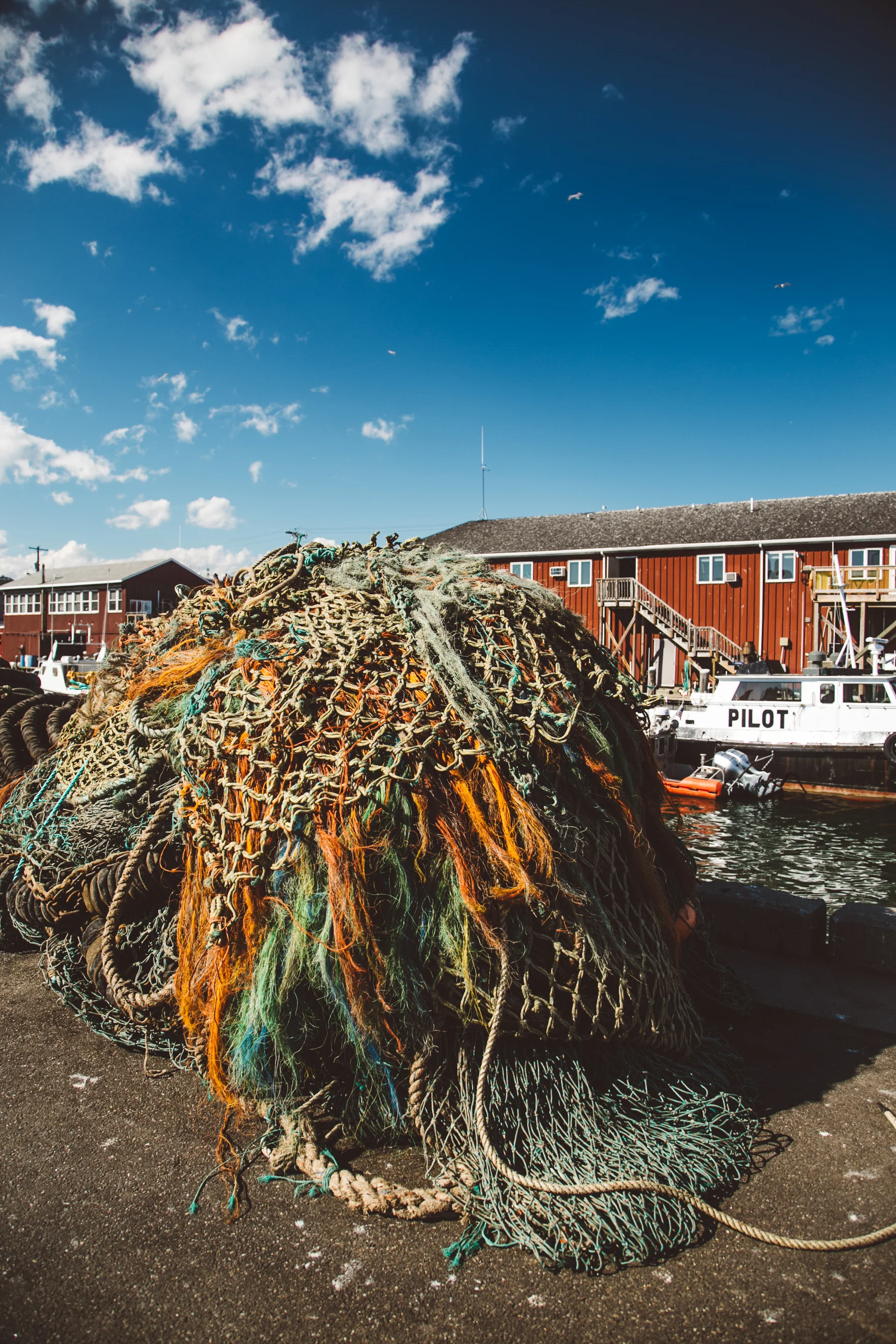 Nets on Merrill's Wharf. Jenny Rebecca Nelson © 2016.