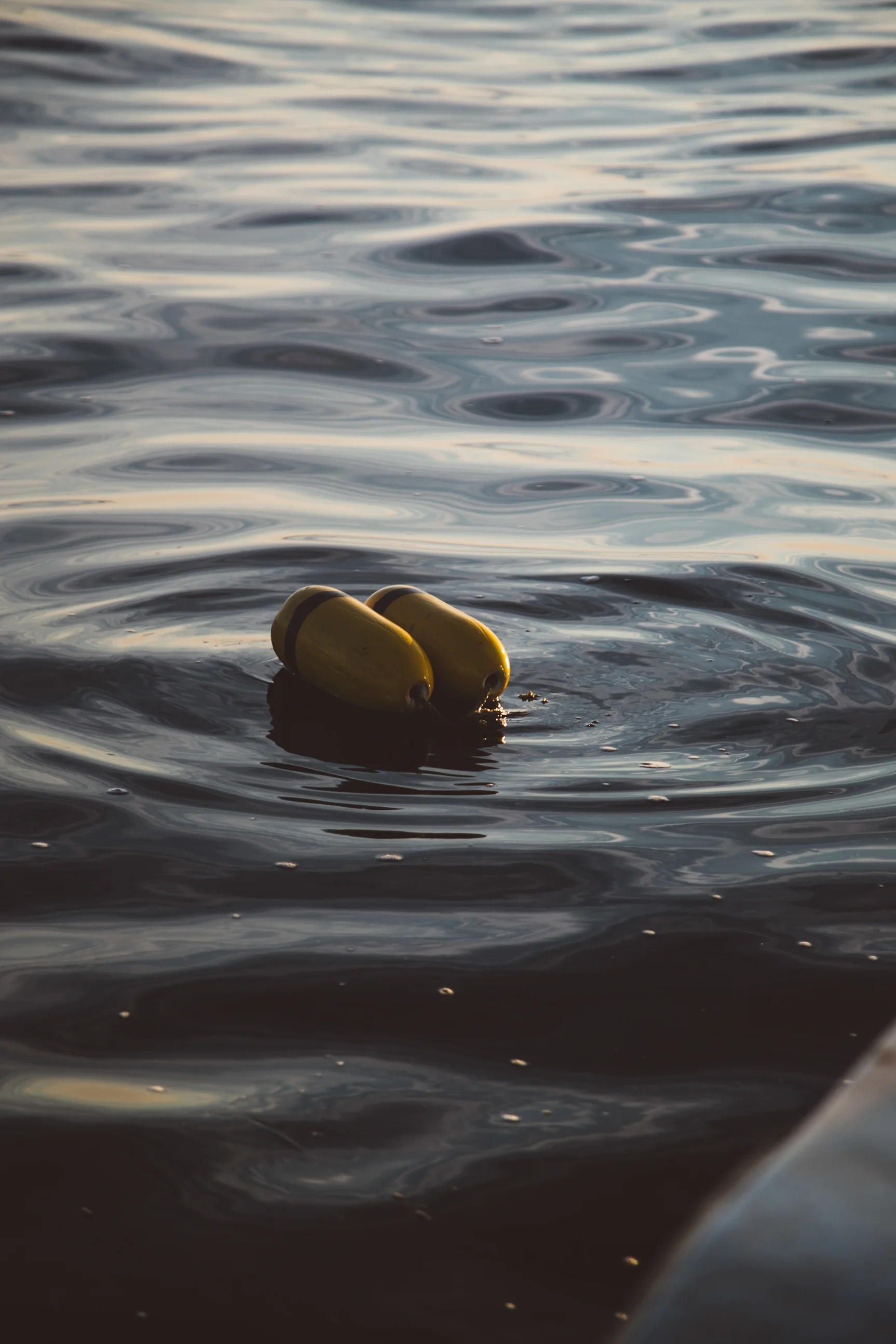Buoys in Casco Bay. Jenny Rebecca Nelson © 2016