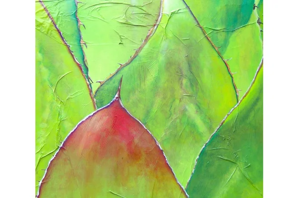 Red and Green Agave