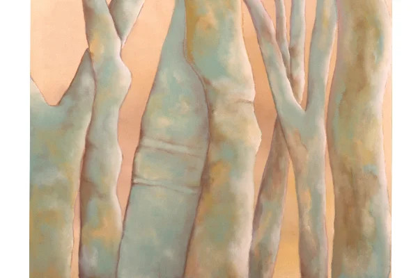 Eucalyptus Trees
