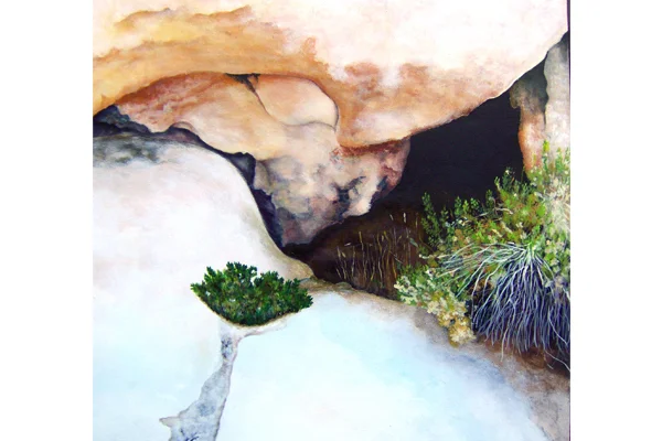 Wonderland of Rocks, Joshua Tree