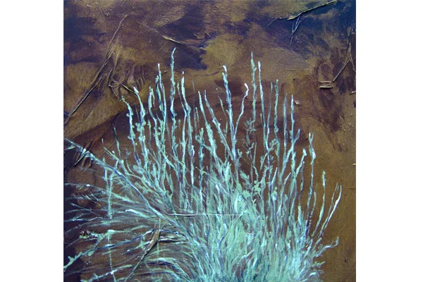 Rabbit Brush