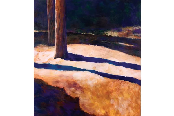 Light in the Forest II