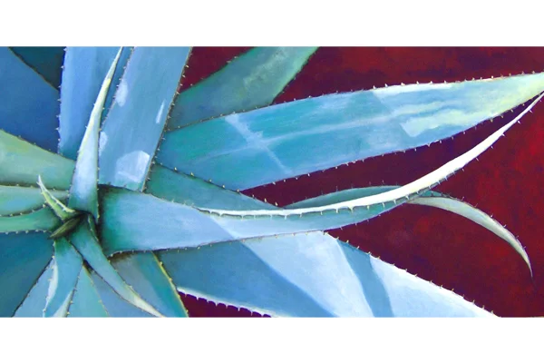 Blue Agave