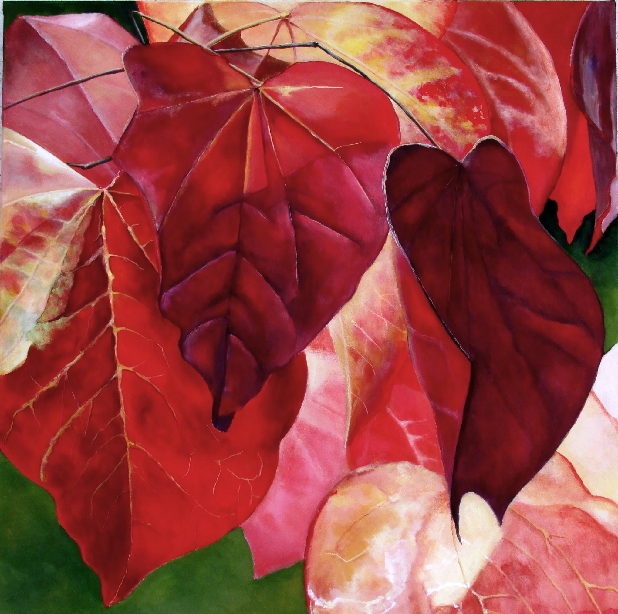Leaves in Cambria II
