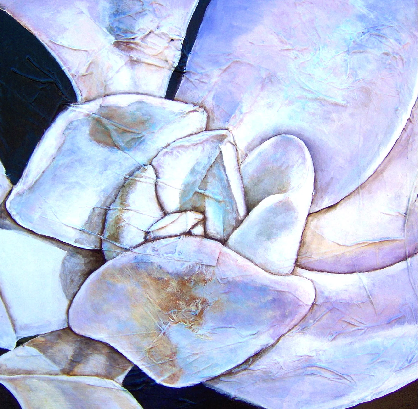 Succulent