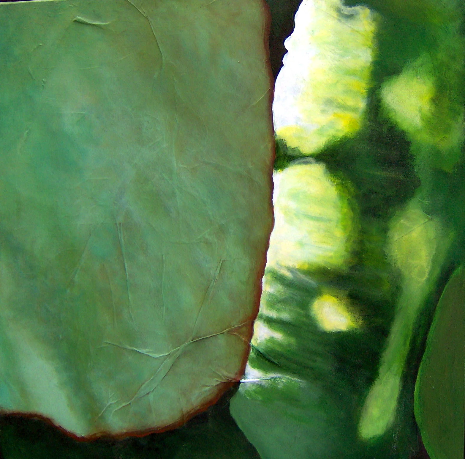 Leaves and Light
