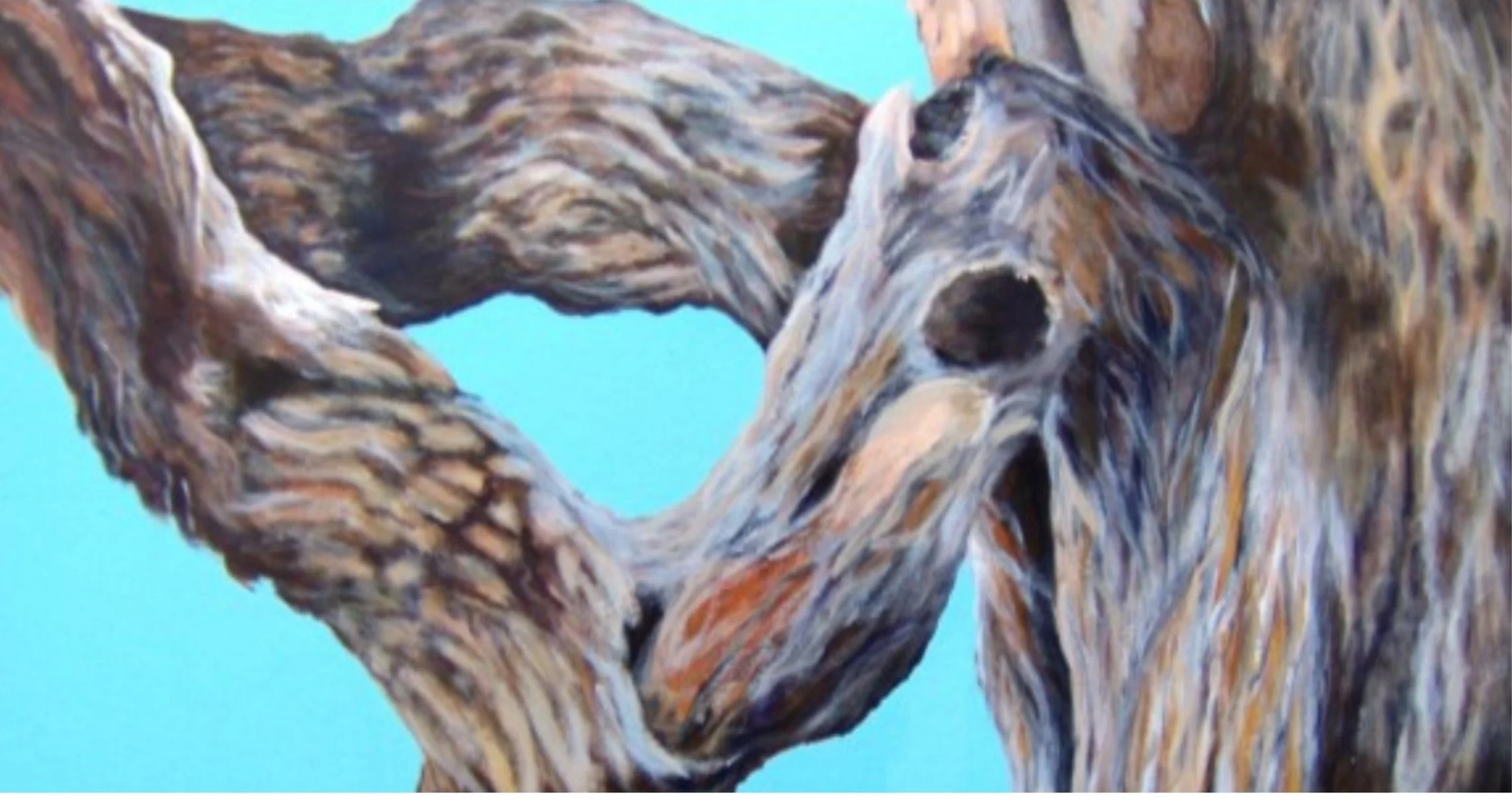 Tree Branch