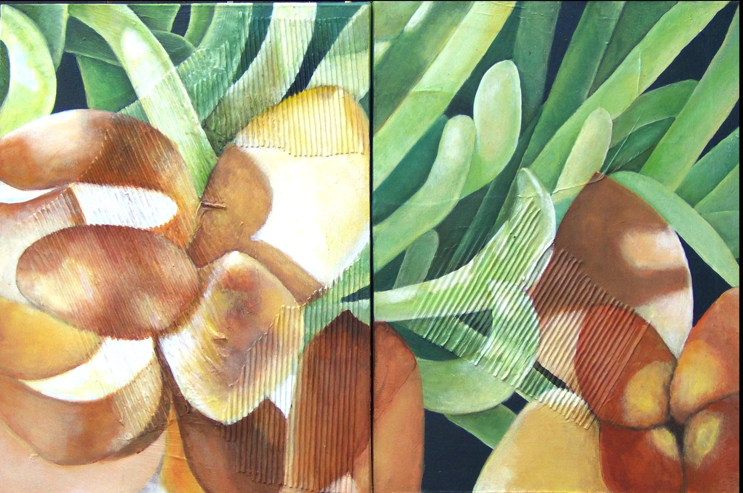 SCSUCCULENTII.jpg