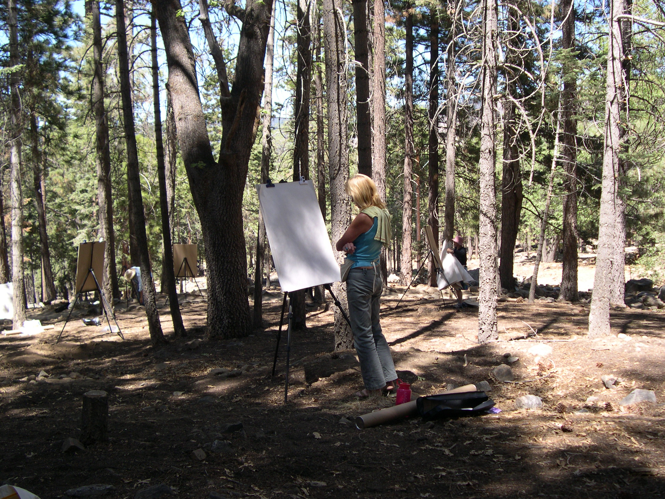 Some campers returned for each of the 10 years I have been involved. Stepping aside to devote more time to my own work, I know I will miss the friendships I have made and the fun of each new camp. This year included Life Drawing, Watercolor, Acrylic Painting, Photography and Mixed Media printing and book arts. It was truly the best camp ever!