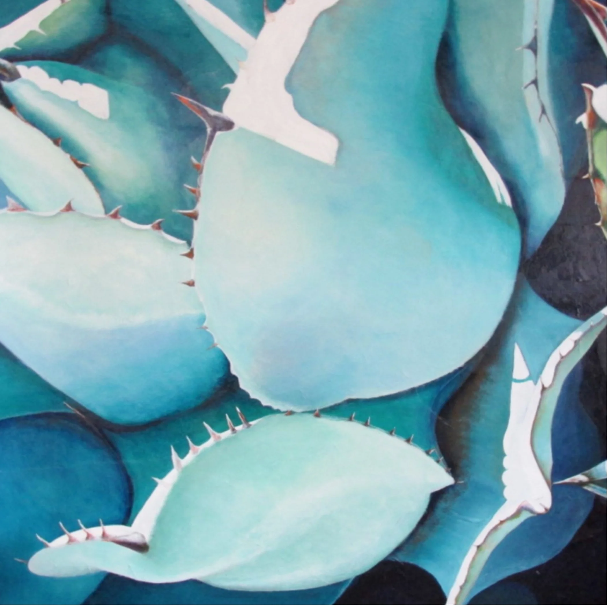 BLUE AGAVE III.jpg
