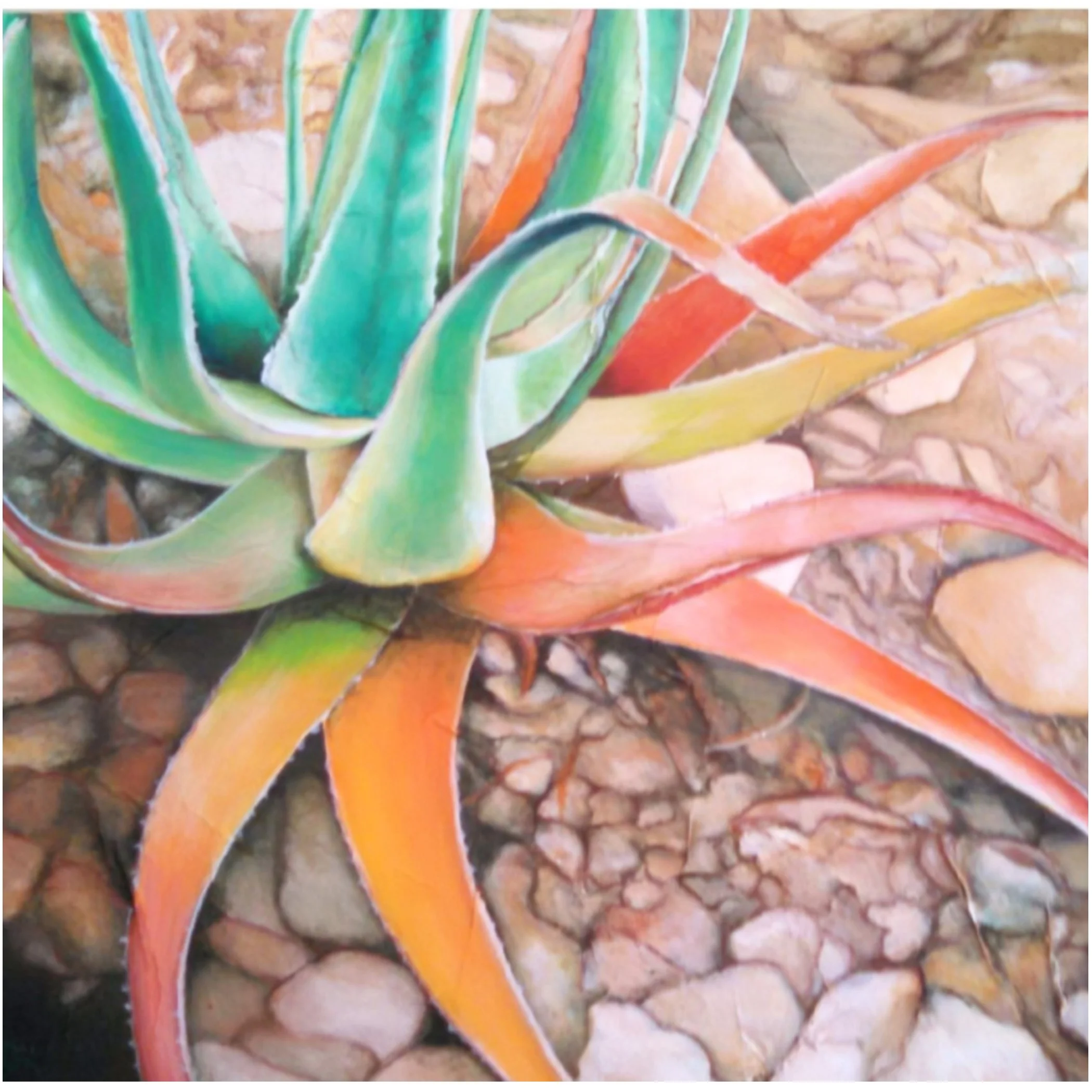 GREEN AND ORANGE AGAVE.jpg